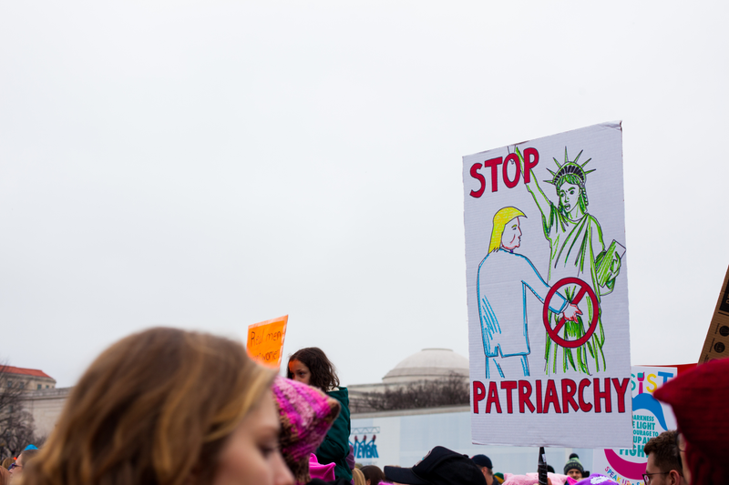 Illustration for article titled WOMEN'S MARCH ON WASHINGTON : THE SIGNS
